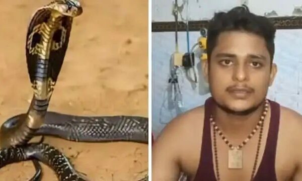 फतेहपुर के विकास का बार-बार पीछा कर काट रहा सांप, 34 दिन में छह बार डसा